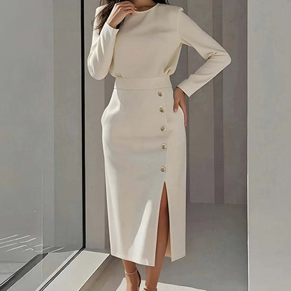 Elegant Style Round Neck Solid Color Dress Long Dress for Women